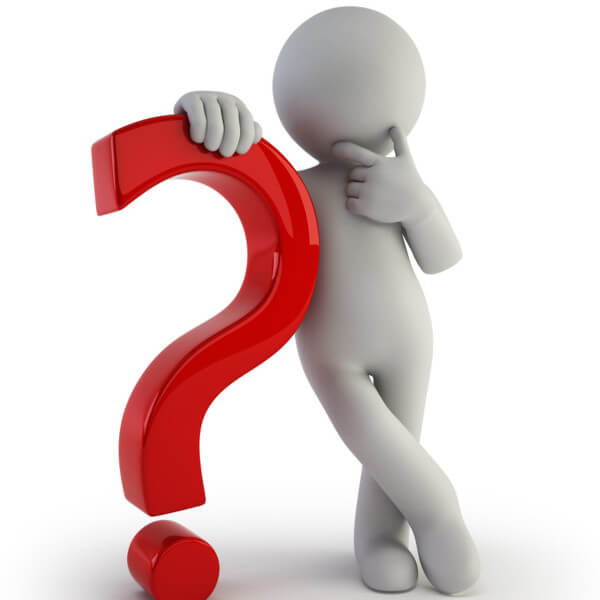 Question Mark sq s Learning Bird Language