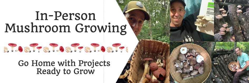 Mushroom Growing Workshop Ontario